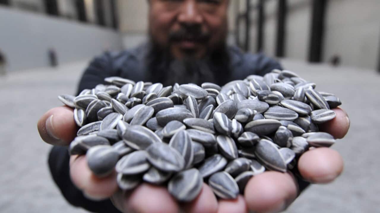 weiwei_seeds_epa_110404_204098116