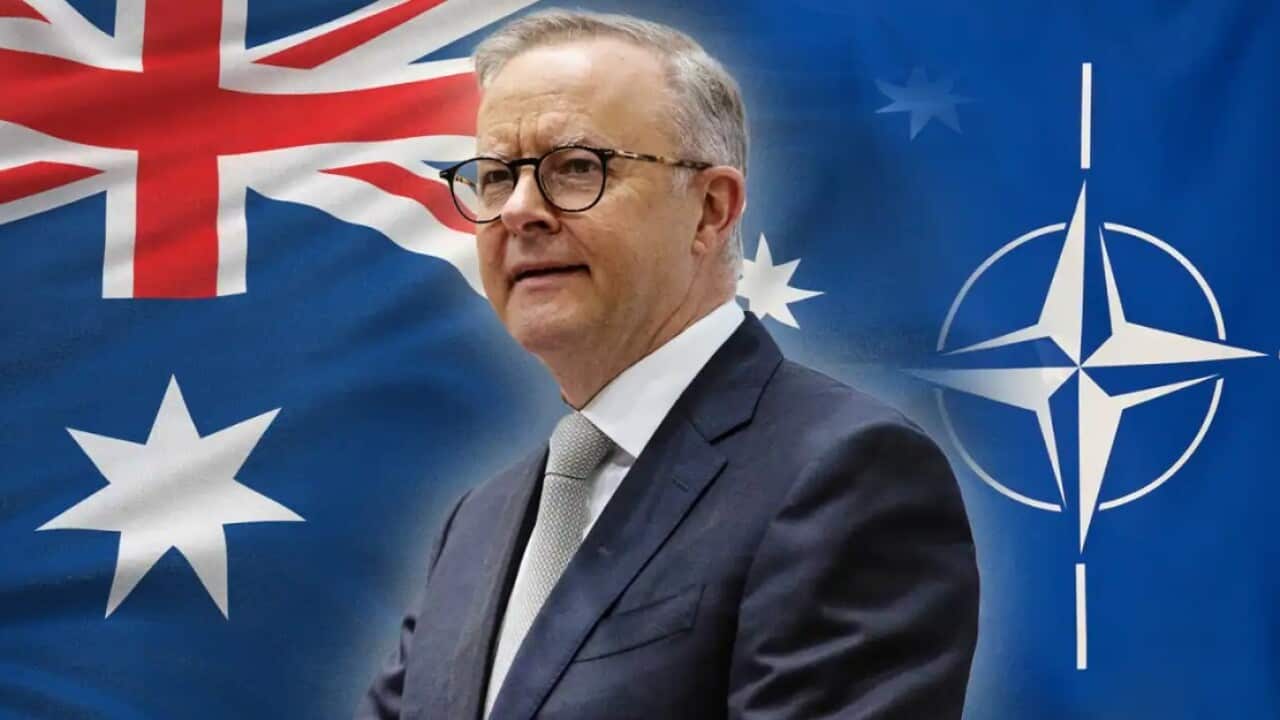 Image for read more article 'READ MORE'