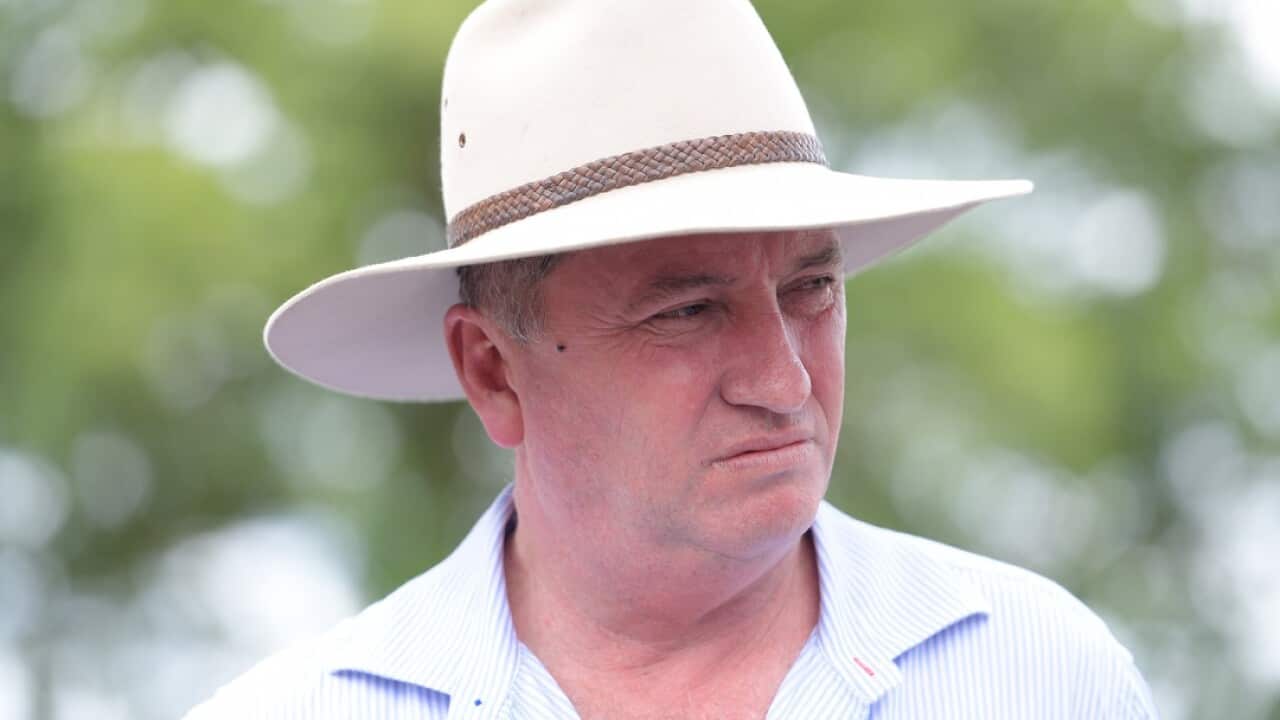 Deputy prime minister Barnaby Joyce