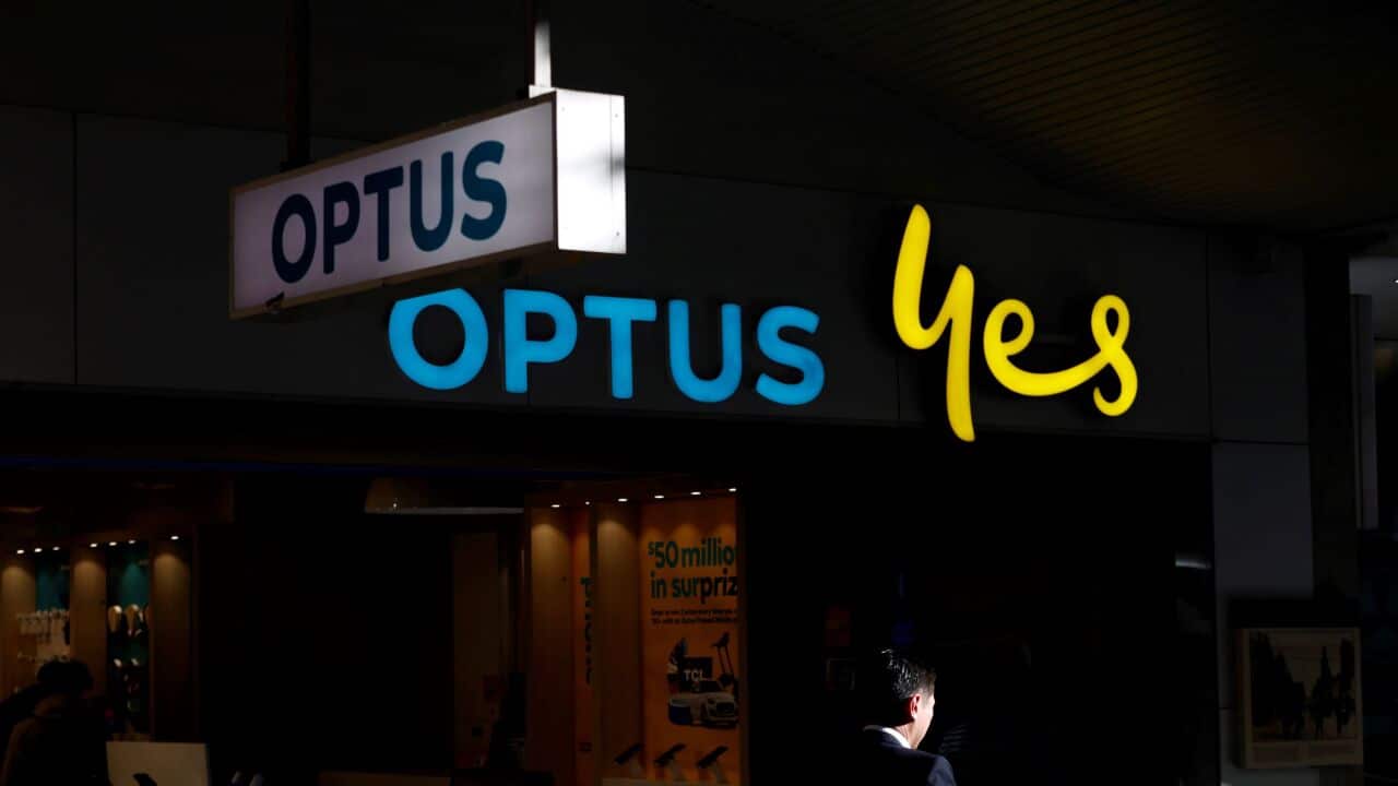 Image for read more article 'READ MORE'