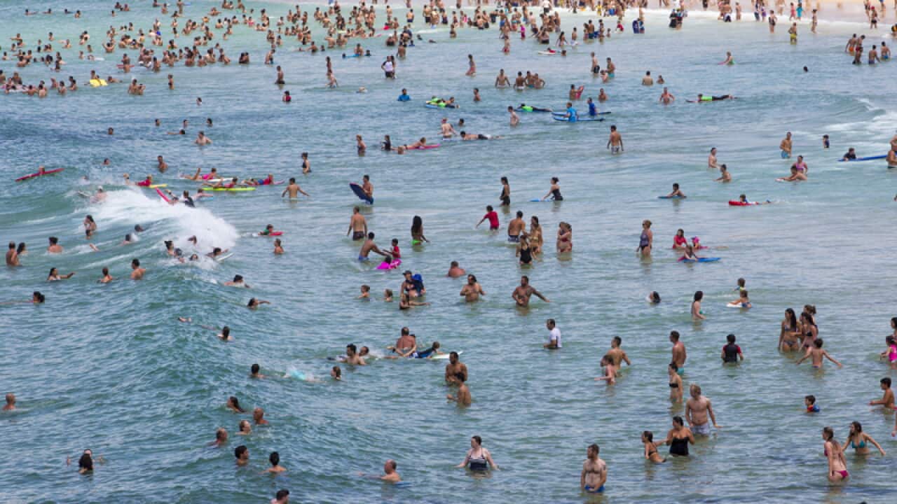 People swim at Bondi Beach in Sydney