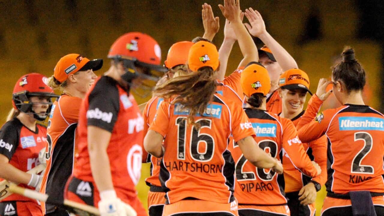 Perth Scorchers players celebrate after claiming a wicket