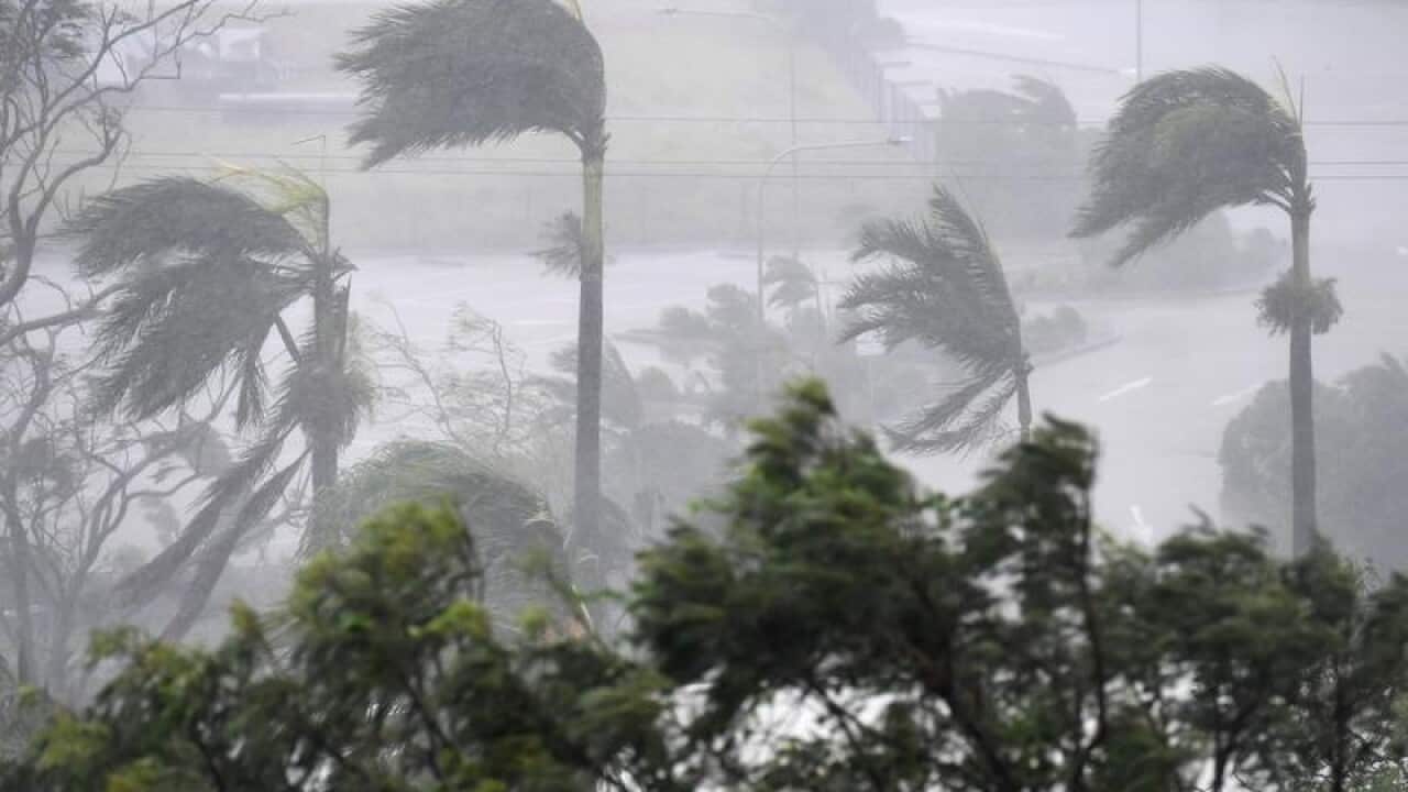 Strong winds and rain lash Airlie Beach.