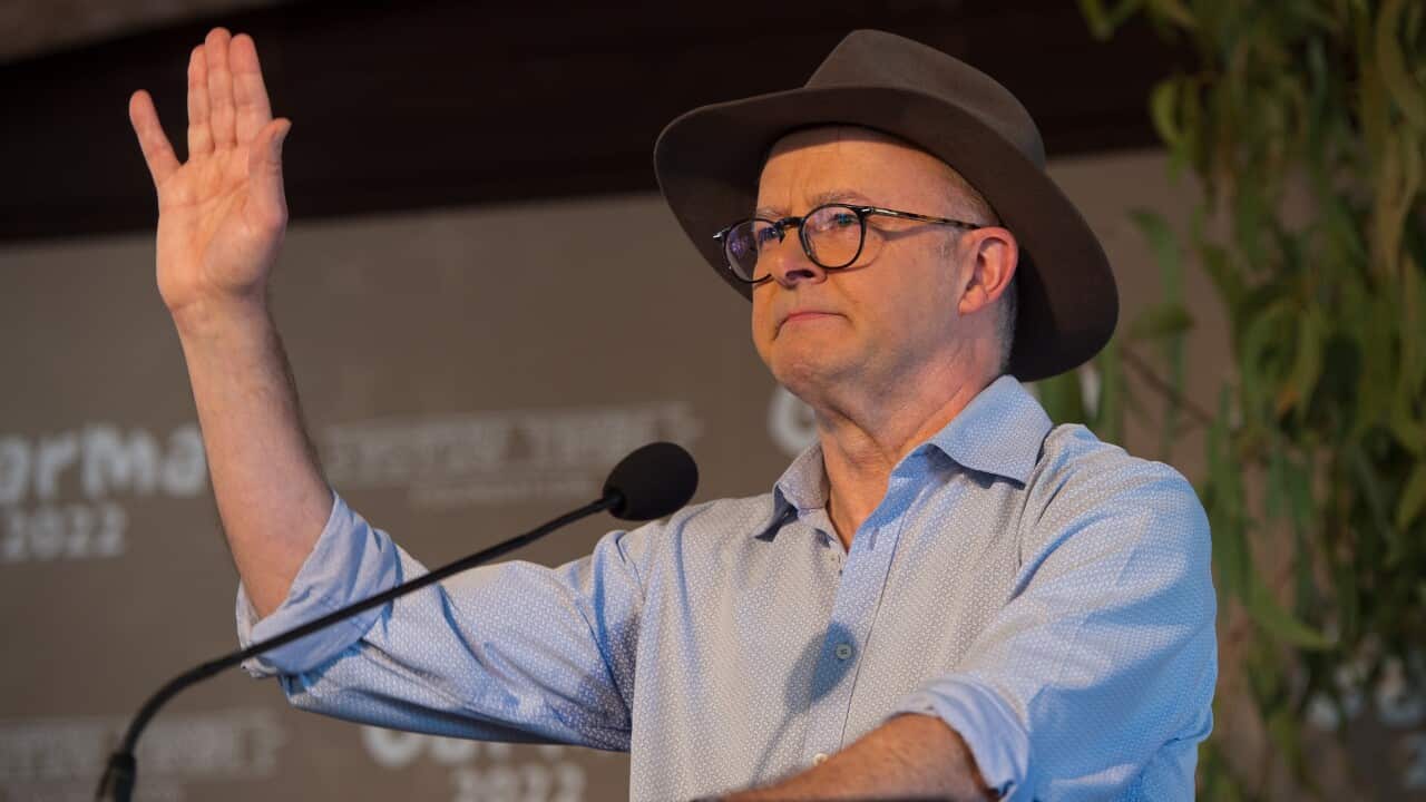 Prime Minister Anthony Albanese at Garma Festival in northeast Arnhem Land, Northern Territory.
