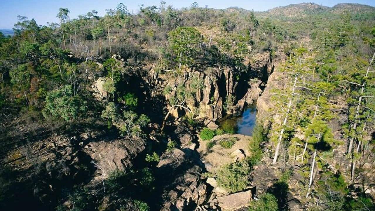 Mt Zero and Taravale native animal refuge.