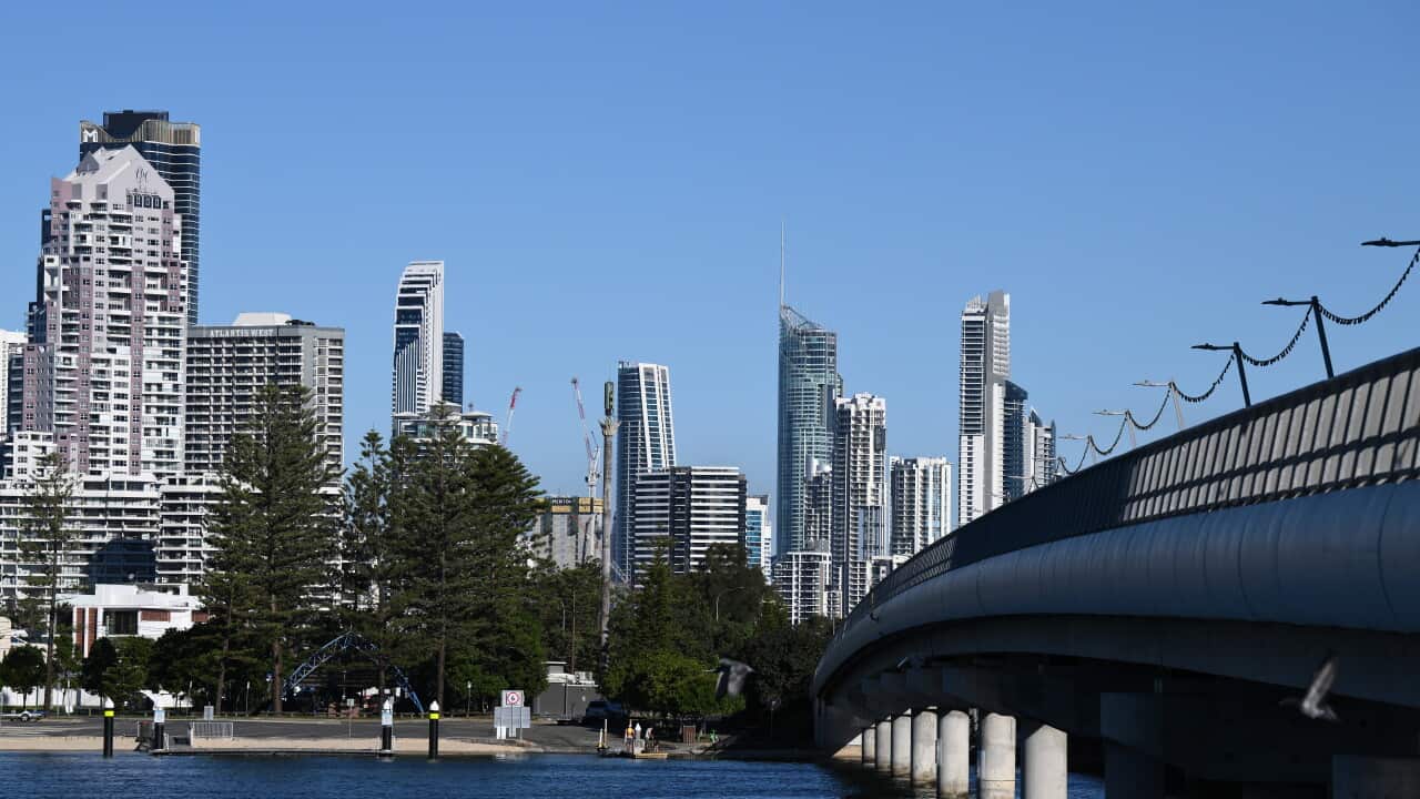 GOLD COAST STOCK