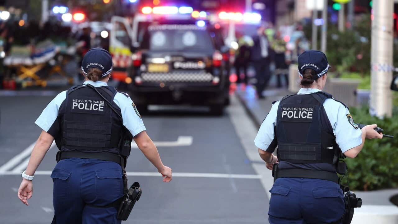 Police.jpg