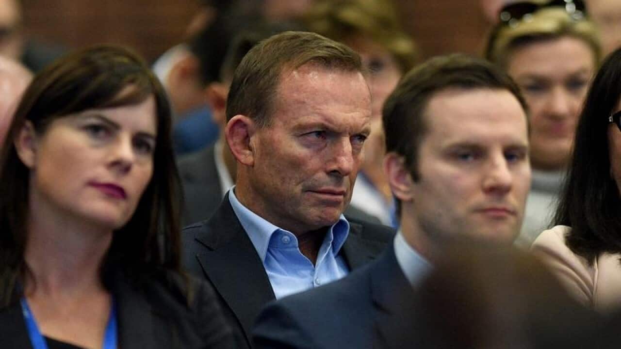 Former prime minister Tony Abbott