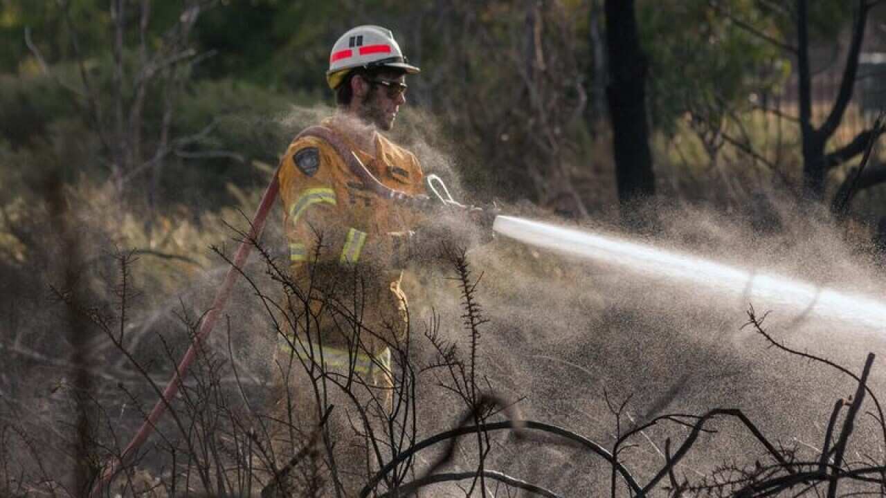 Firefighter Joseph Bodis hoses down a bushfire (file image)