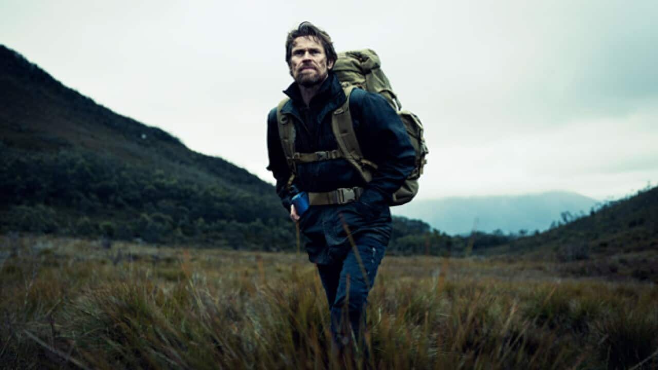 the_hunter_2011_627_1166987393