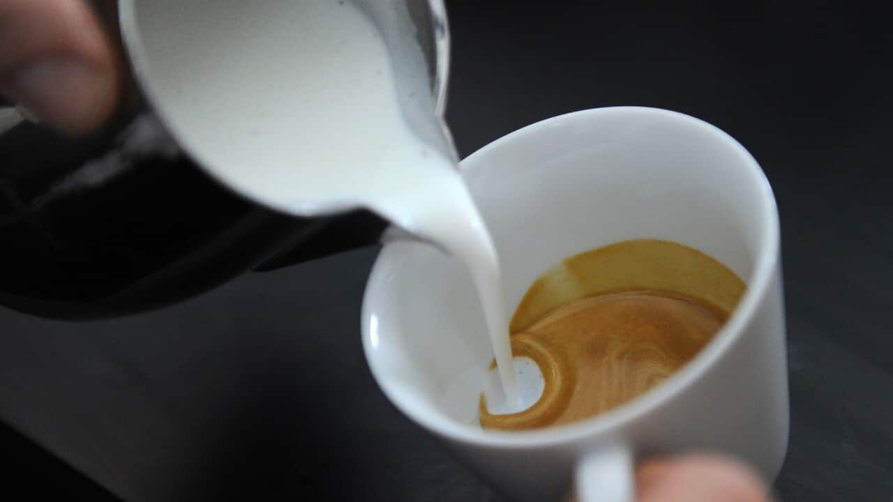 MELBOURNE CUP BIRDCAGE PREVIEW