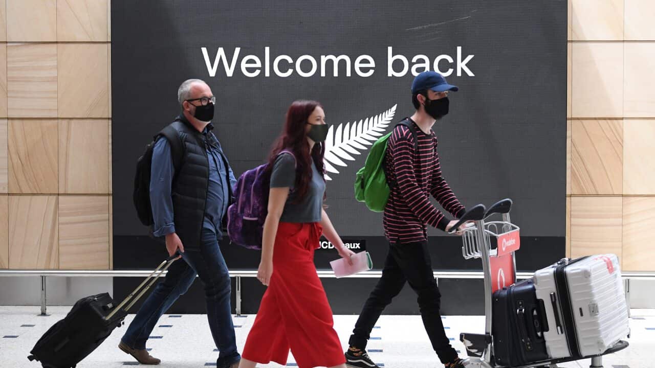 Passengers from New Zealand arrive at Sydney International Airport on Friday.