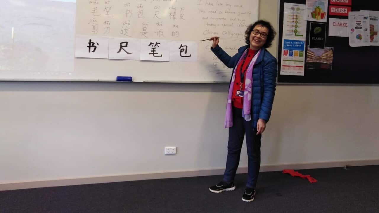 Image for read more article 'READ MORE'