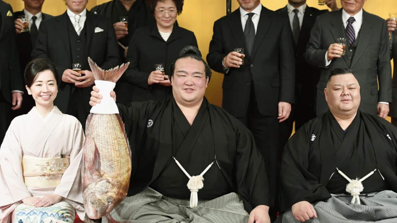 Kisenosato (C) lifts a sea bream a ceremony at a Tokyo hotel