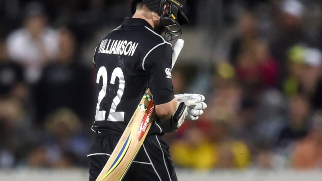 Batsman Kane Williamson of New Zealand