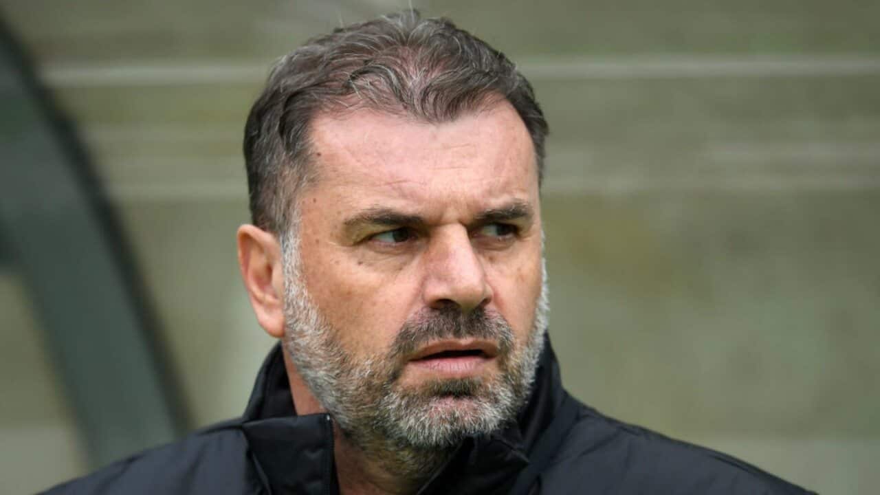 Postecoglou