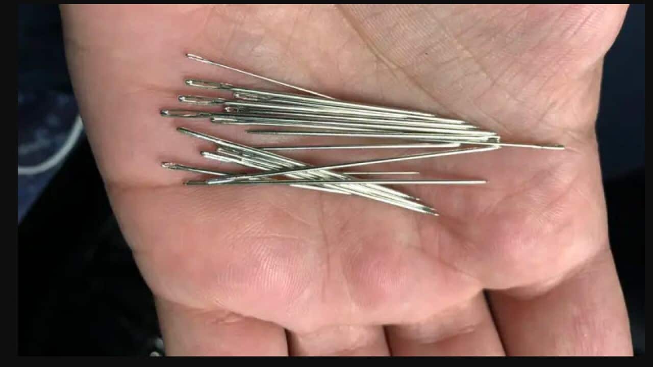 Police appeal for witnesses after Melbourne commuter is stabbed in leg with ‘around 20’ needles in train seat