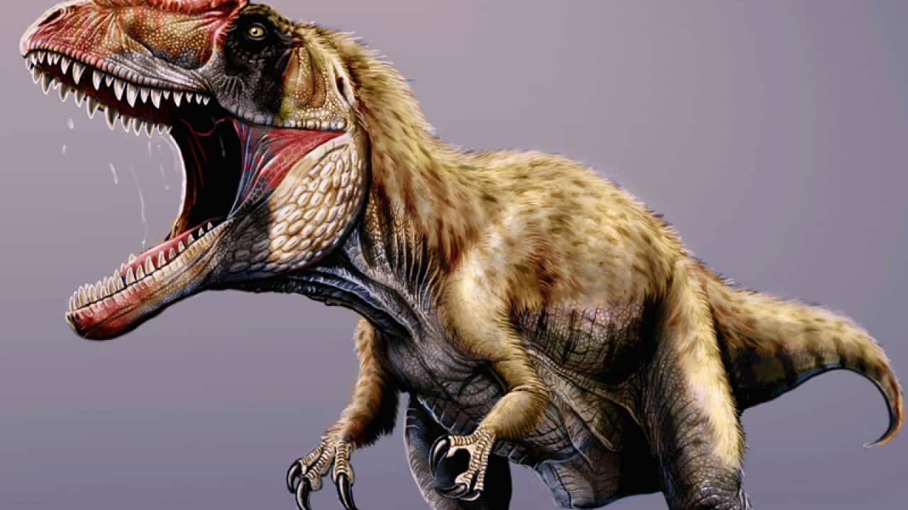 A newly discovered dinosaur named Siats meekerorum.