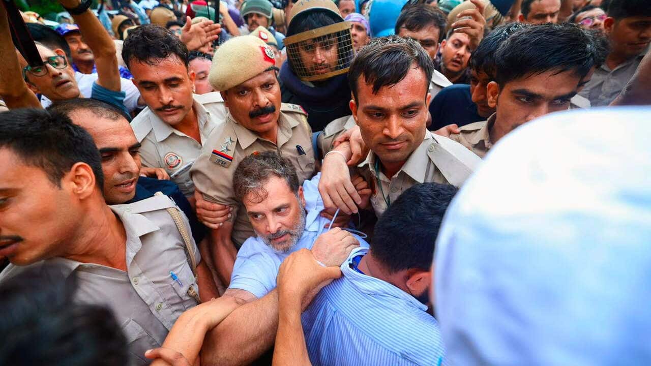 Rahul Gandhi in Cockroach Protest
