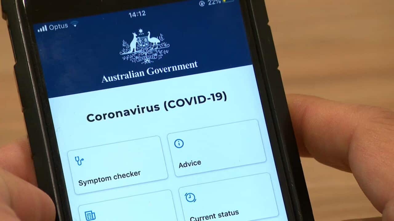 The government's coronavirus information app