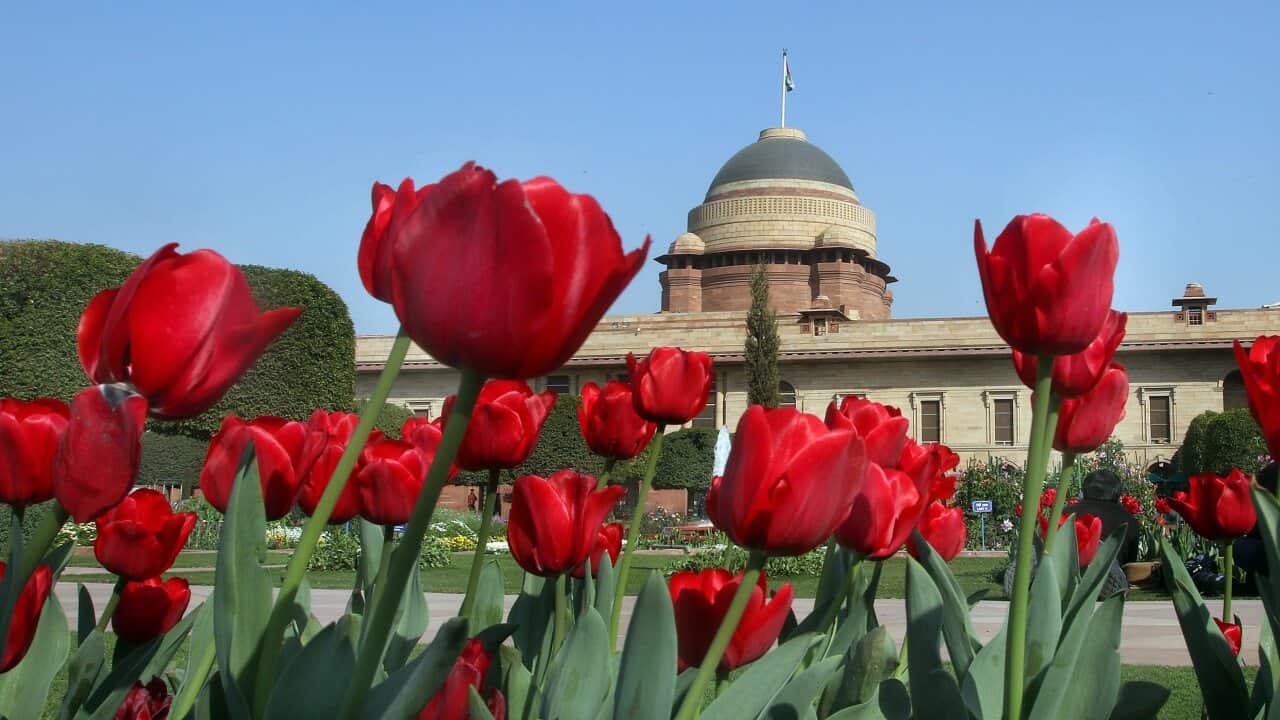 INDIA MUGHAL GARDEN