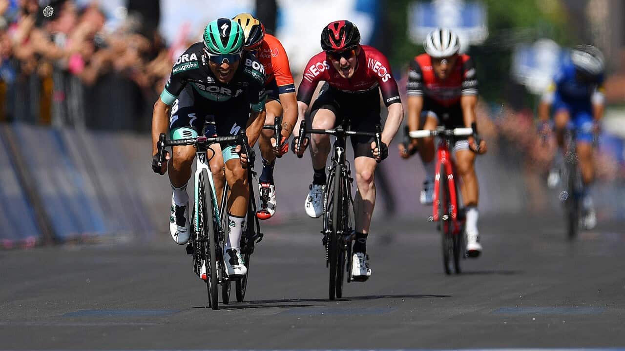 Cesare Benedetti, BORA- hansgrohe, Giro d'Italia