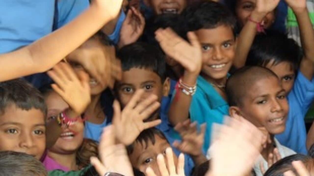 Image for read more article 'More stories on SBS Gujarati'