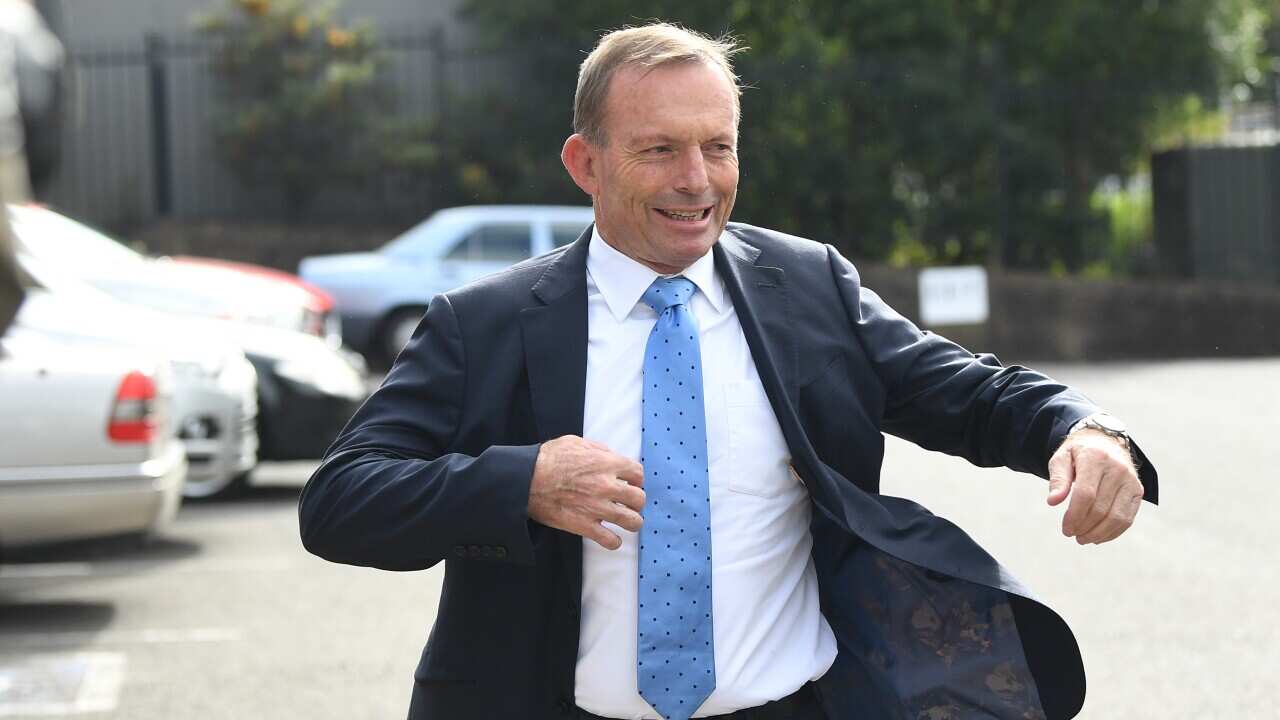 Former PM Tony Abbott walks towards the camera in a suit.