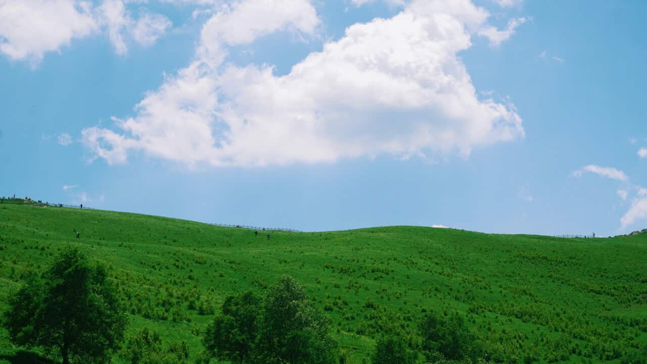 yang-brigitte-L7z1AsnoZ-g-unsplash.jpg