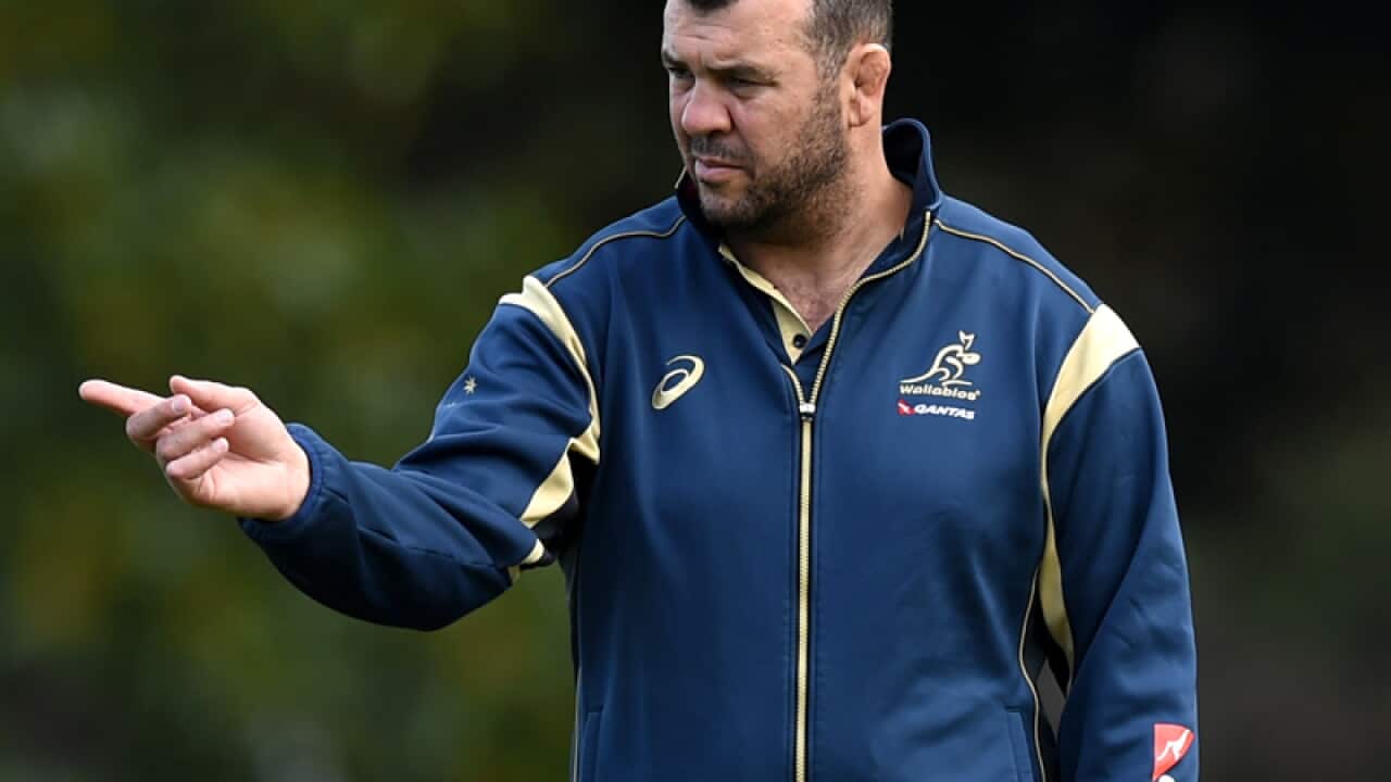 Australian rugby union coach Michael Cheika