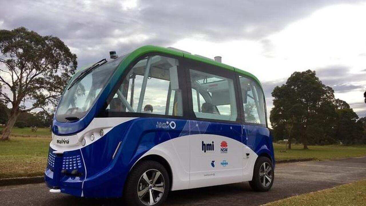BUSES
