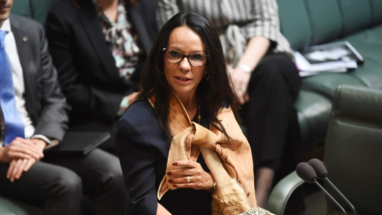 File image of Shadow Minister for Human Services Linda Burney.