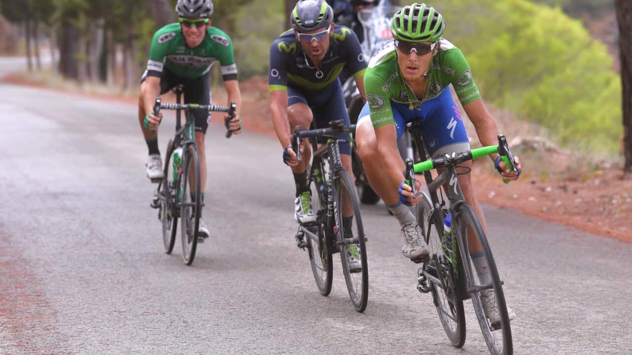 Matteo Trentin, Quick-Step Floors, Vuelta a España