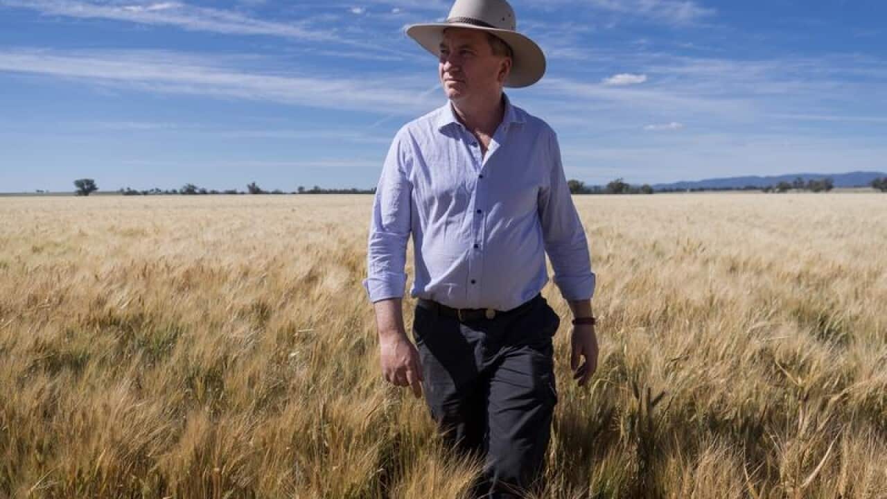 Barnaby Joyce
