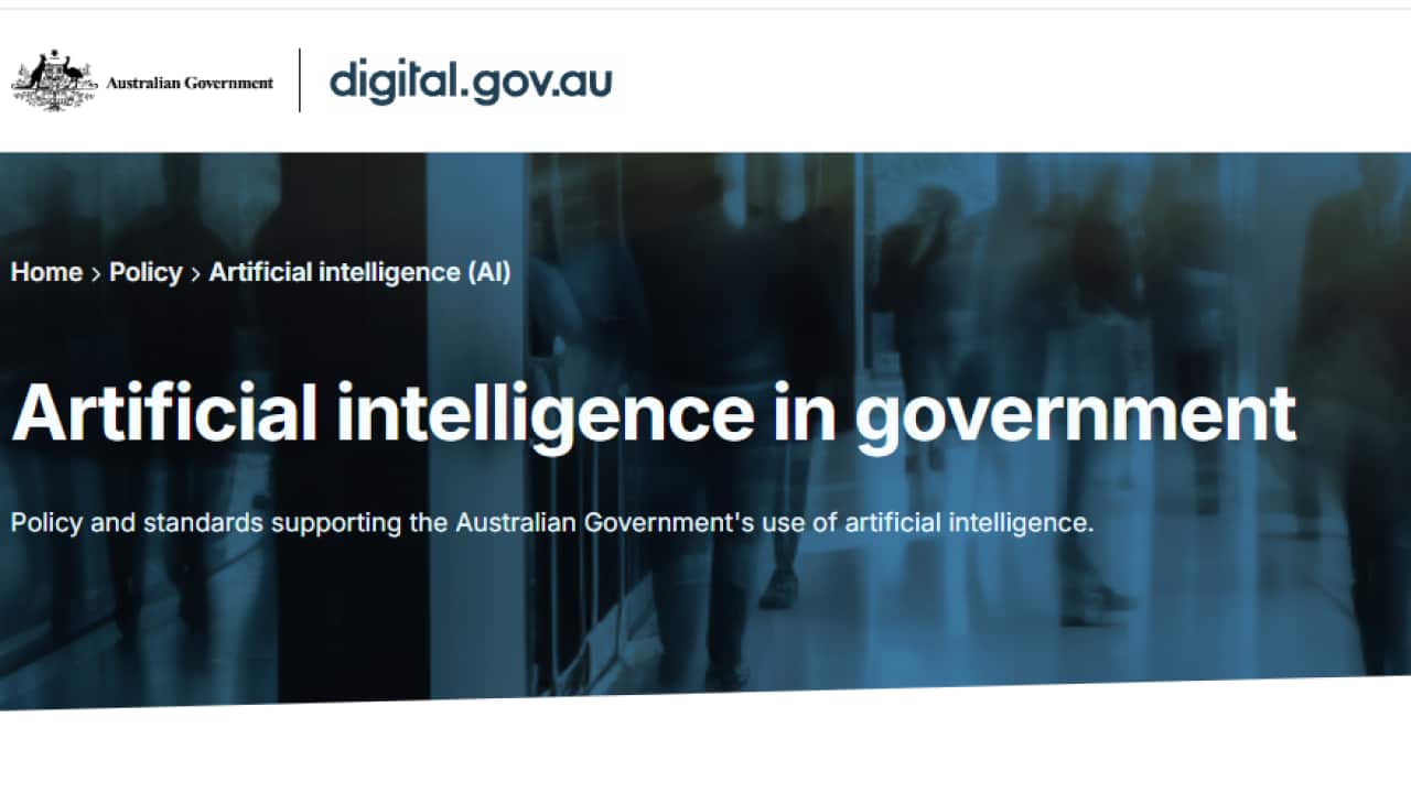 Government AI use.png