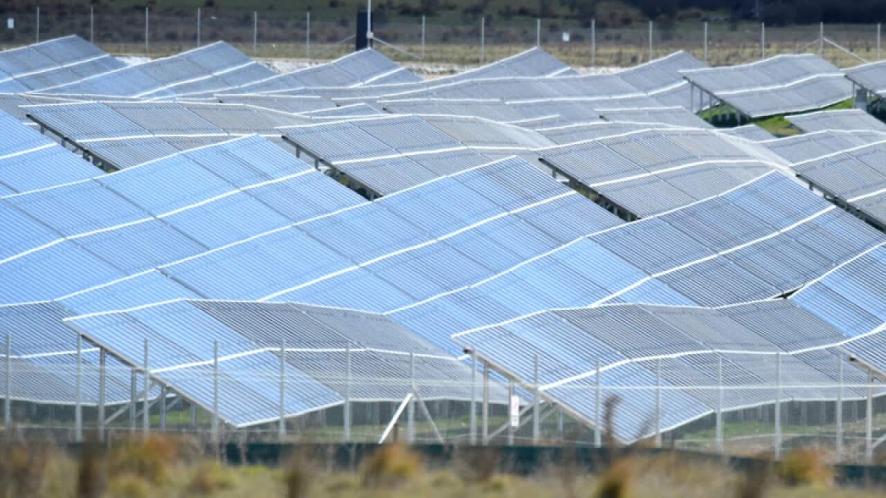 A Solar Farm.