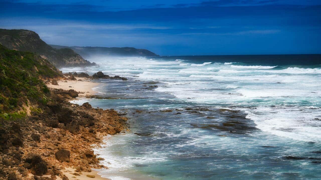 Image for read more article 'READ MORE'