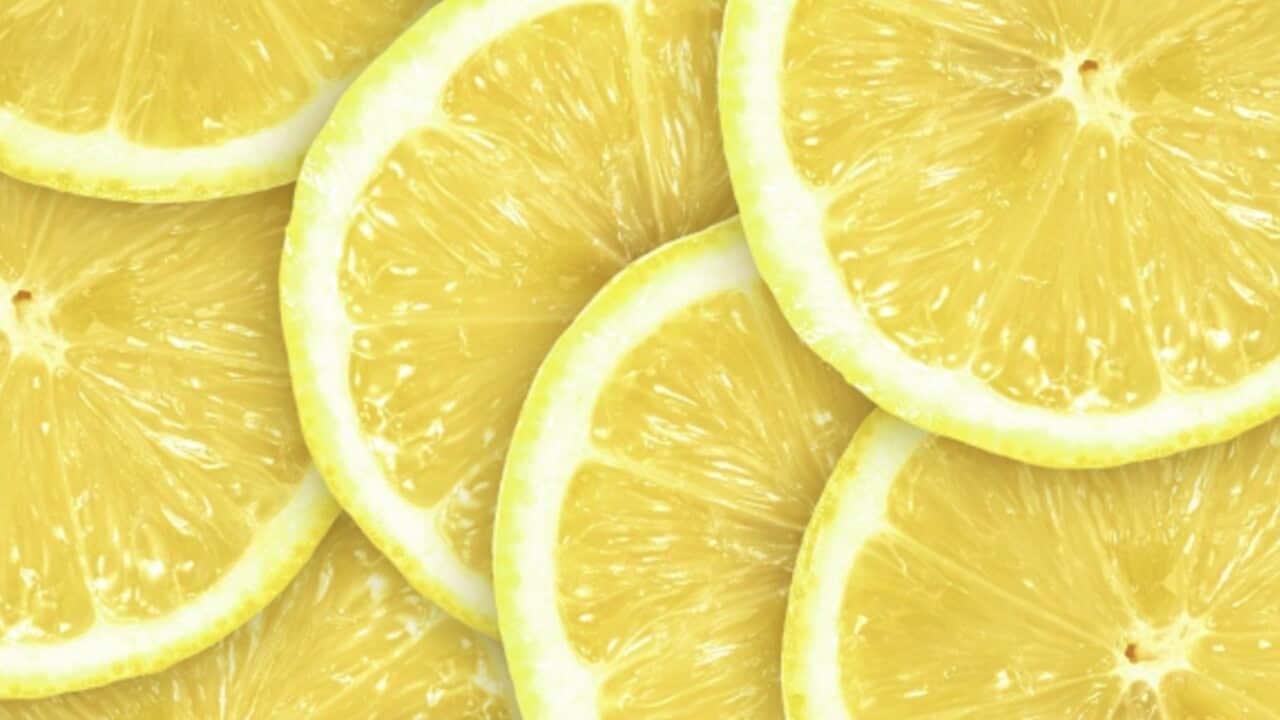 lemon