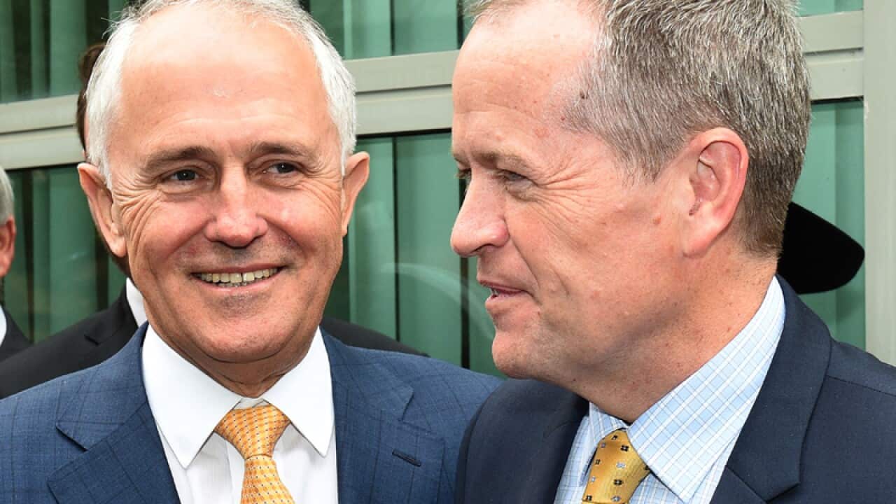 PM Malcolm Turnbull and Labor Opposition leader Bill Shorten