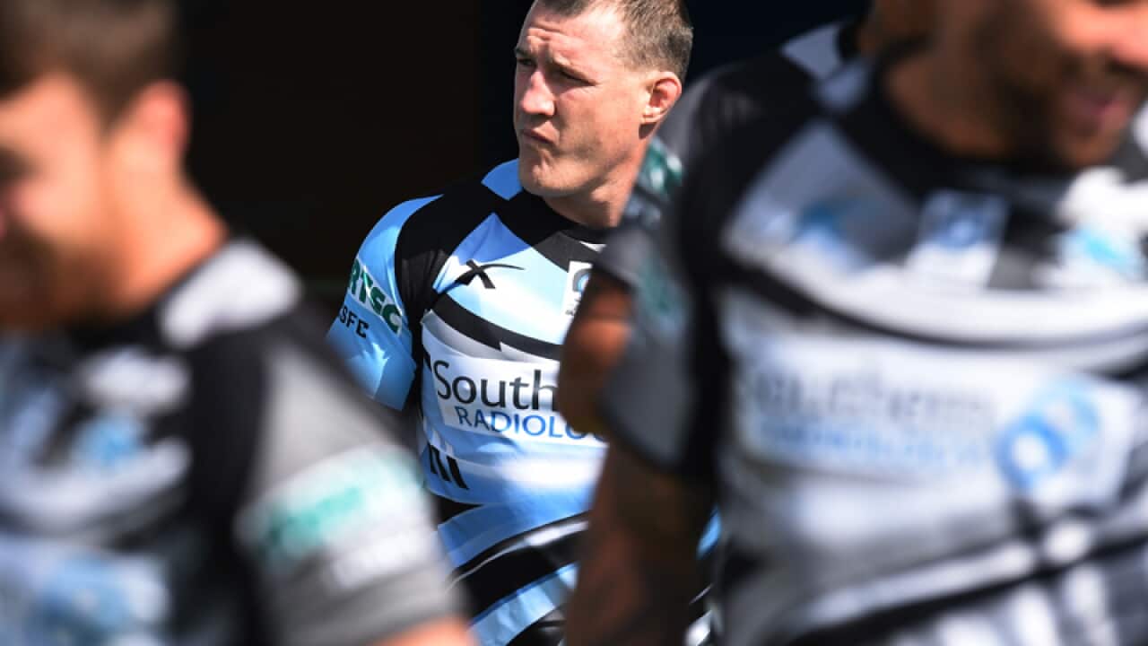 Cronulla Sharks captain Paul Gallen