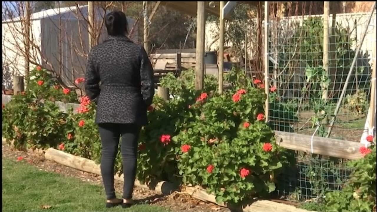 Image for read more article ''