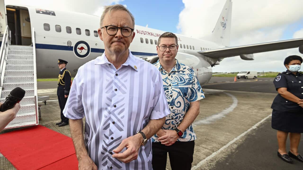 Anthony Albanese in front of a plane.