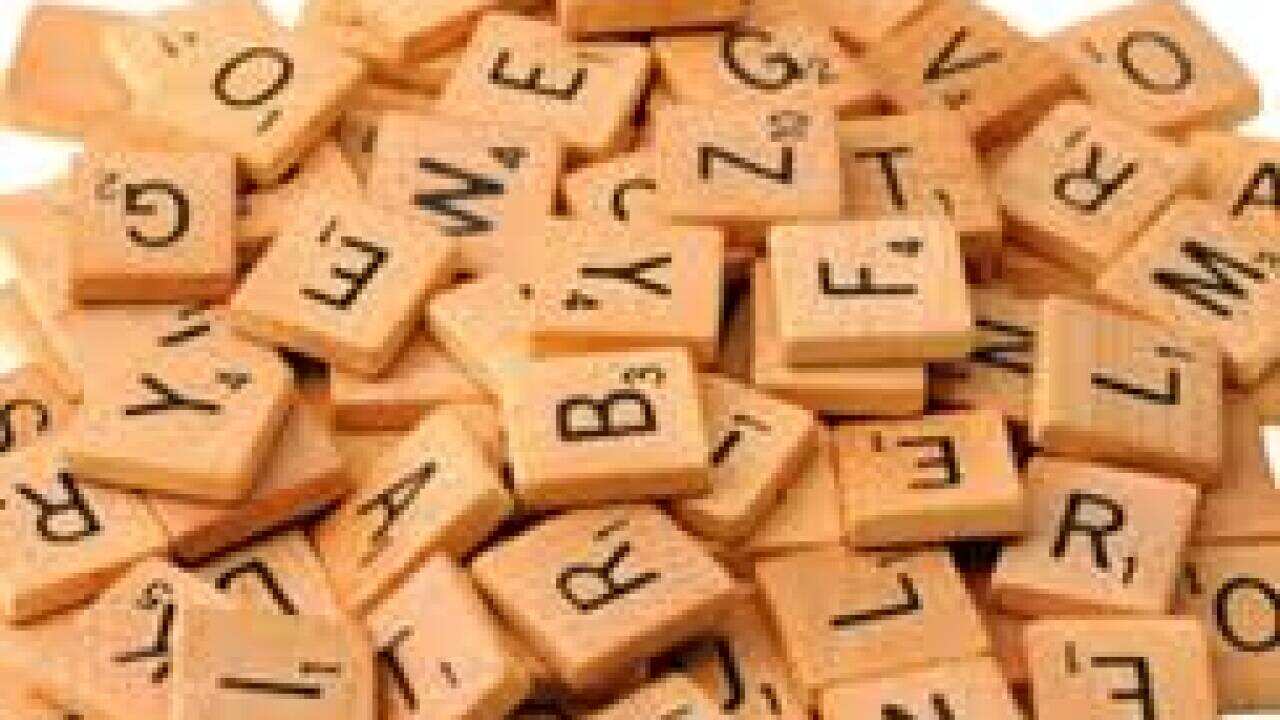 Frans hertoghs, made up words