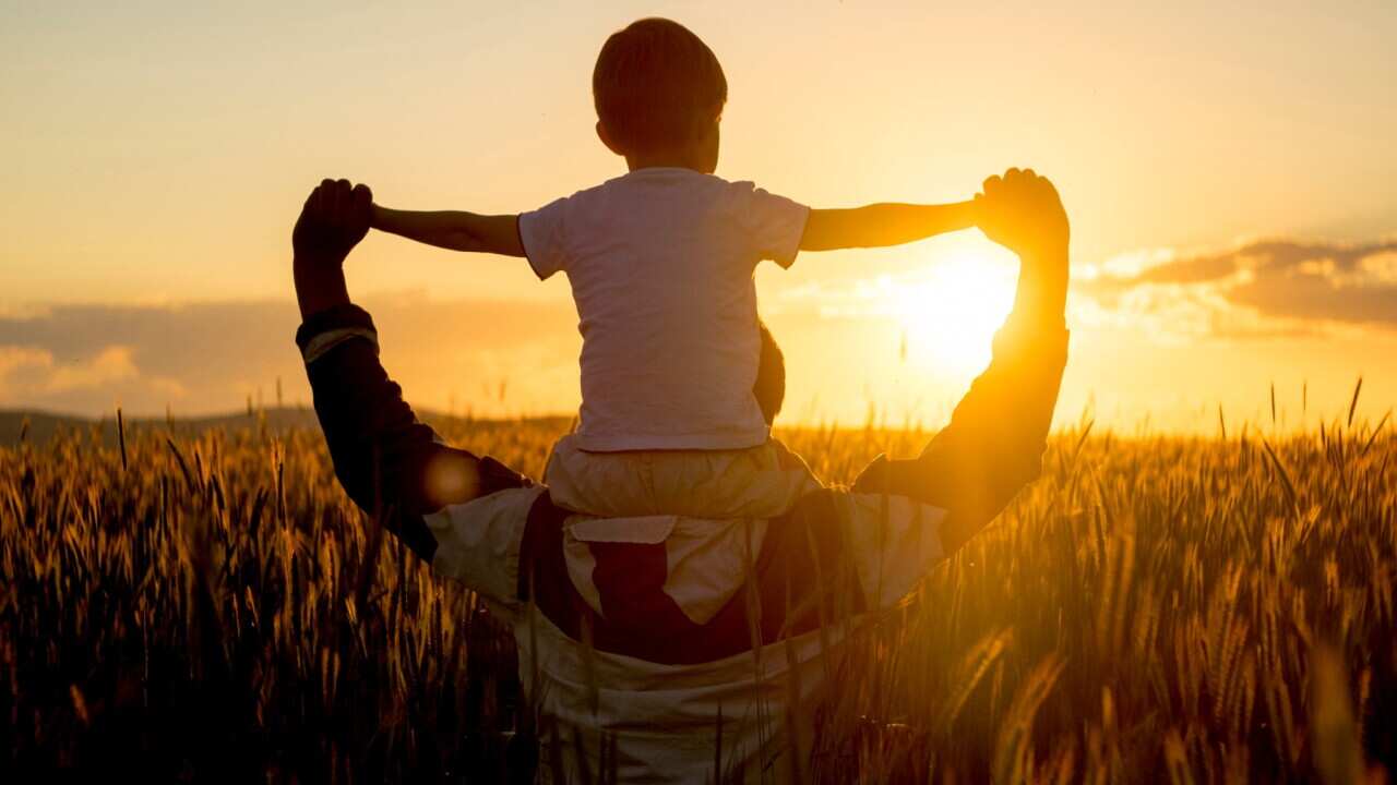 Child on a father's shoulder during sunset