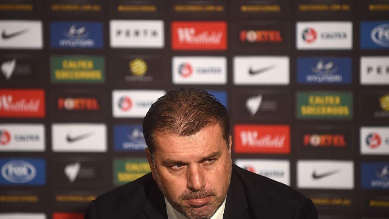 postecoglou
