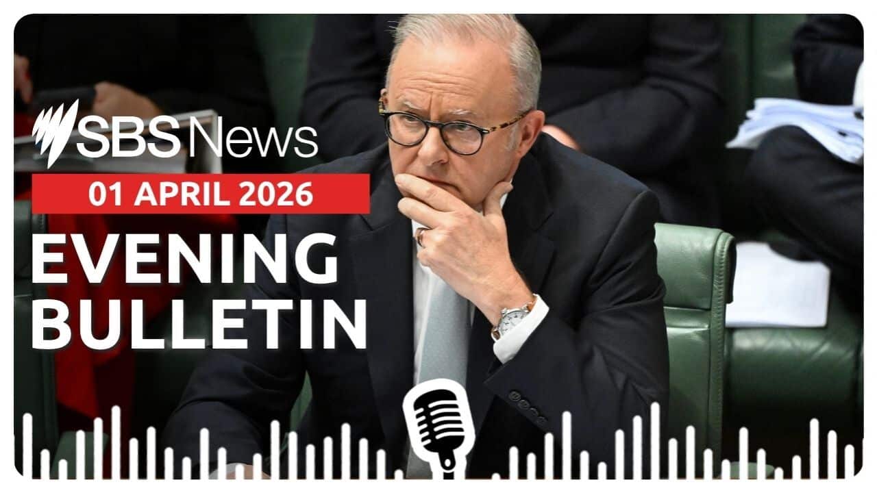 Prime Minister Anthony Albanese during Question Time.