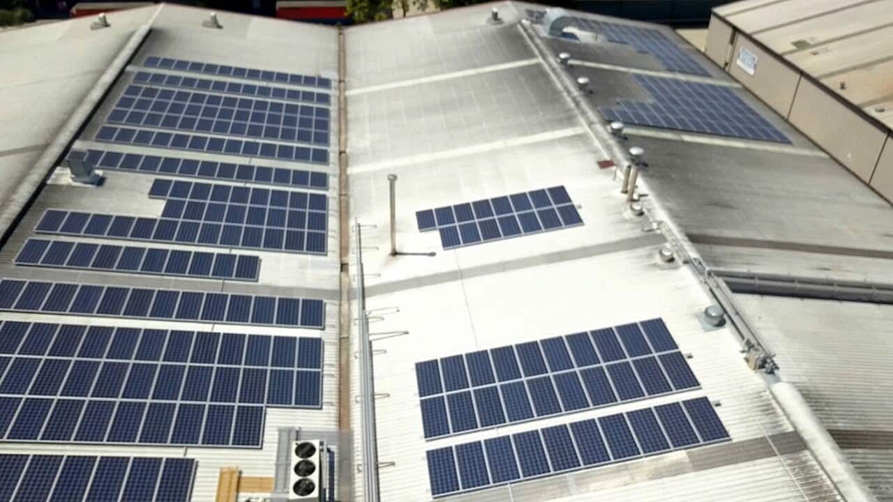 Solar panels on top of the Four Pines Brewery