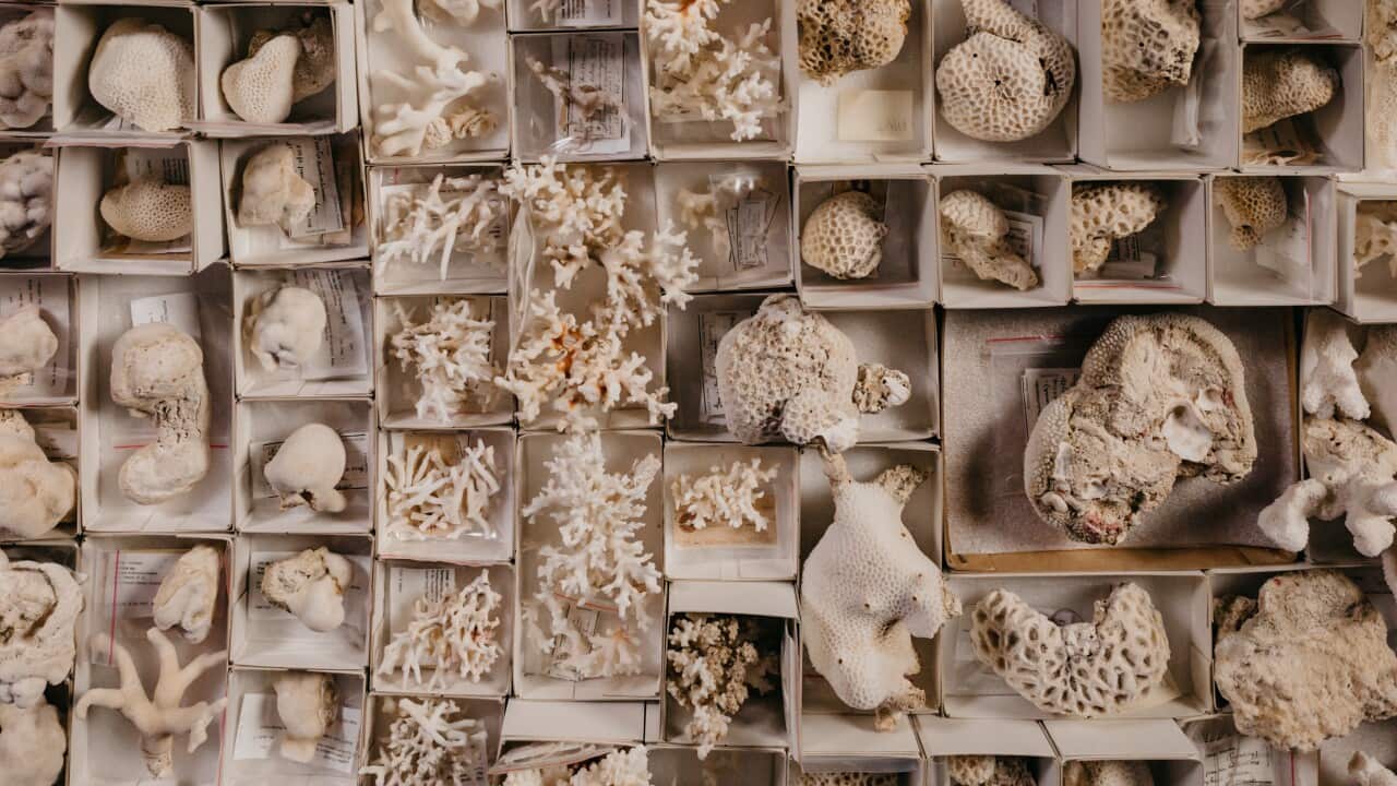 SBCreativeCo-QMT-WeswesCollection-2Aug2024-97 (1).jpg