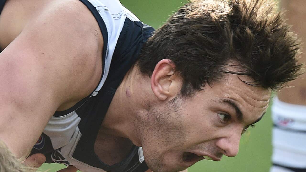 Daniel Menzel of the Cats