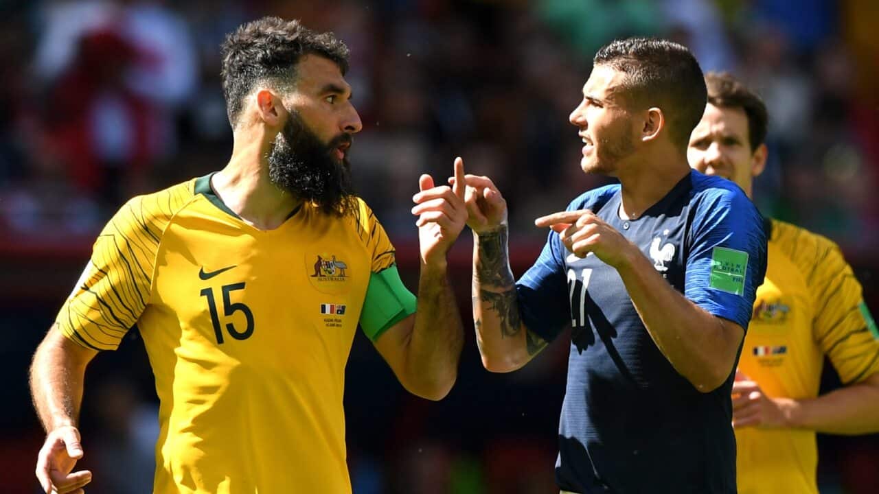 Jedinak and Hernandez